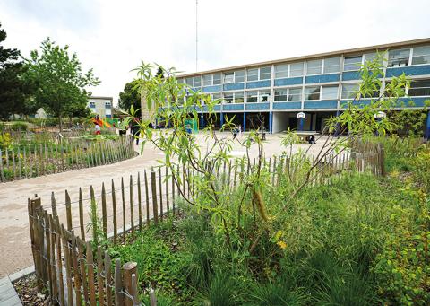 vegetaliser-rennes-un-pepin-dans-la-ville