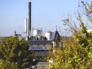 Lactalis en Ille-et-Vilaine